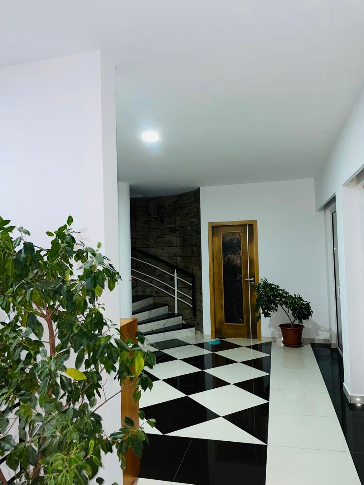 Residencial Sol Point Art Bed and Breakfast Ponta Do Sol Εξωτερικό φωτογραφία